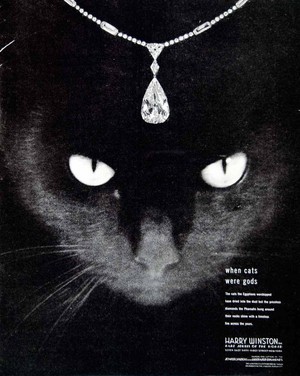  Black Cat Tear Diamond Pendant