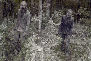  9x16 ~ The Storn ~ Walkers