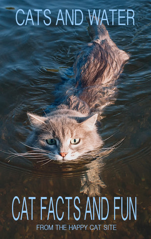  A Book Pertaining To gatos And Water