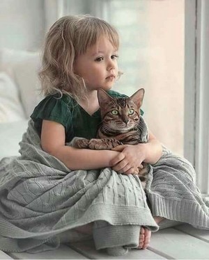A Little Girl And Her Cat