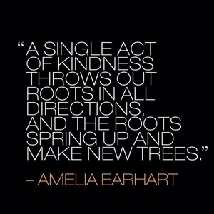  Amelia Earhart Quote 💖