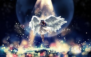  Anime Angel – Jäger der Finsternis 💙