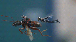  Ant-Man and the putakti (2018)