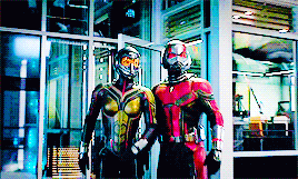  Ant-Man and the tawon (2018)