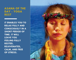  Asana of the day: Yoga Rest