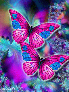  Beautiful Butterflies To Brighten Your Day,Kirsten 🌸
