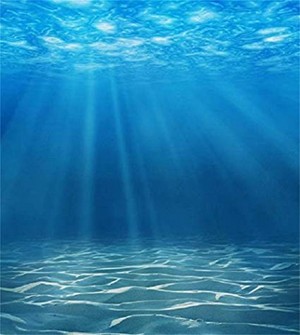  Beneath The Ocean Surface