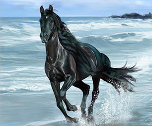  Black Horse