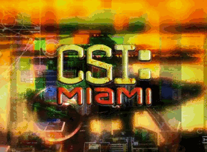 C.S.I. - Место преступления Майами