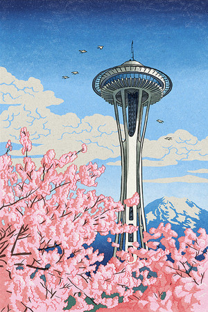 Cherry Blosdoms In Seattle