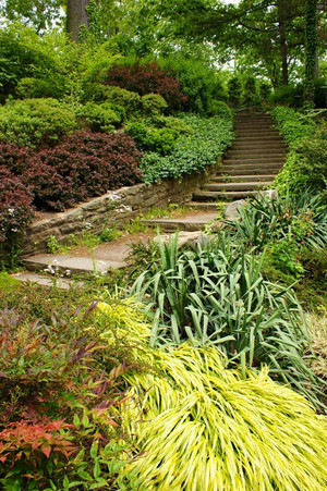  Cleveland Botanical Garden Steps