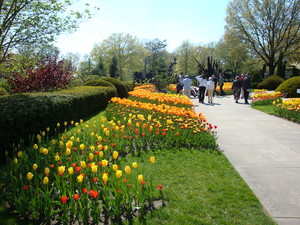  Cleveland Botanical Garden