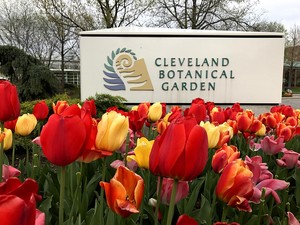  Cleveland Botanical Garden