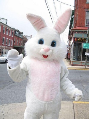 Cute White Easter Bunny Costume