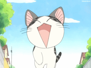  Cute animé cat/ᐠ｡ꞈ｡ᐟ✿