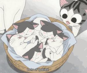  Cute アニメ kitten 💖