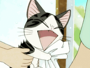  Cute Anime kitten 💖