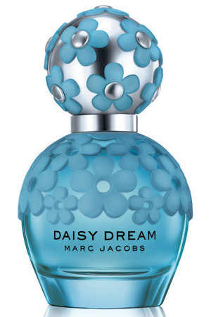  giống cúc, daisy Dream Forever Perfume