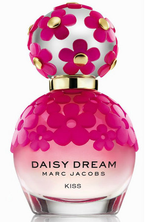  giống cúc, daisy Dream Kiss Perfume