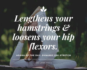  Dynamic Leg Stretch