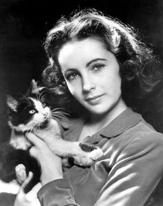  Elizabeth Taylor And Her Cat