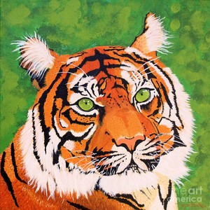  Green-Eyed Tiger