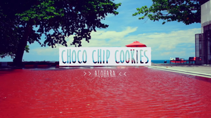 Hara Choco Chip cookies MV