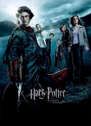  Harry Potter Poster