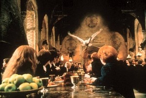  Harry Potter and The Chamber of Secrets