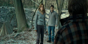  Harry Potter and The Deathly Hallows part 1