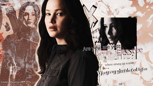  Katniss Everdeen Обои - The Hanging дерево