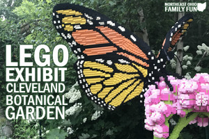  LEGO Exhibit Cleveland Botanical Garden