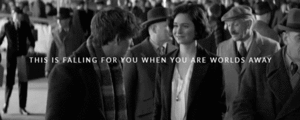  Newt/Tina Gif - Falling In Amore In The Cruellest Way