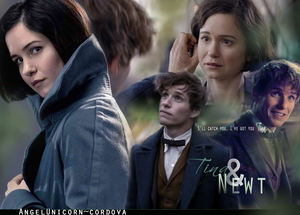 Newt/Tina Wallpaper - Fantastic Beasts And Where To Find Them