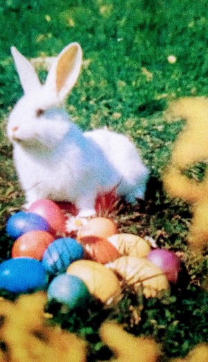  White Easter Bunny Guarding the Easter Eggs