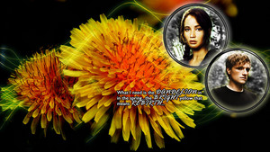  Peeta/Katniss پیپر وال - Bright Yellow