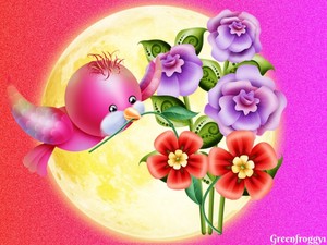  merah jambu Bird