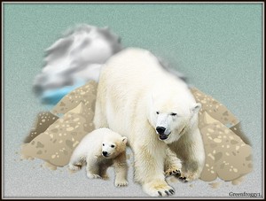  Polar oso, oso de With Cub