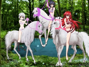  Rias, Akeno, and Koneko had finally tamed the Beautiful White Unicorns