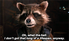  Rocket ~Guardians of the Galaxy (2014)
