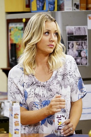  The Big Bang Theory Season 10