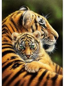  Tiger And Her Cub