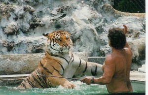  Tiger Training
