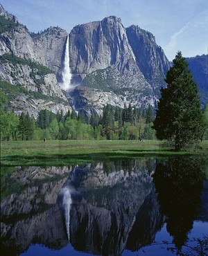  Yosemite National Park