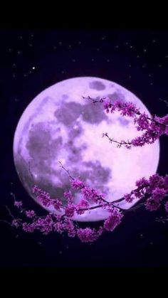  beautiful moon for my Darling Liana🌕💖