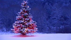  Natale albero hd wallpaper best desktop immagini widescreen