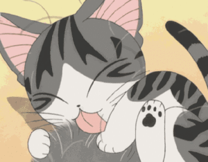  cute Аниме kitten/ᐠ｡ꞈ｡ᐟ✿\