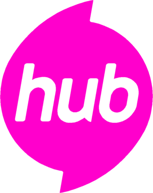  2014 Hub Network Logo 100