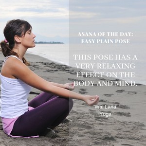  Asana of the day: Easy Plain Pose