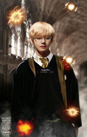  BTS Harry Potter